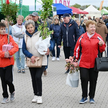 Święto Smaku i Tradycji. Do Minikowa zjechały tłumy